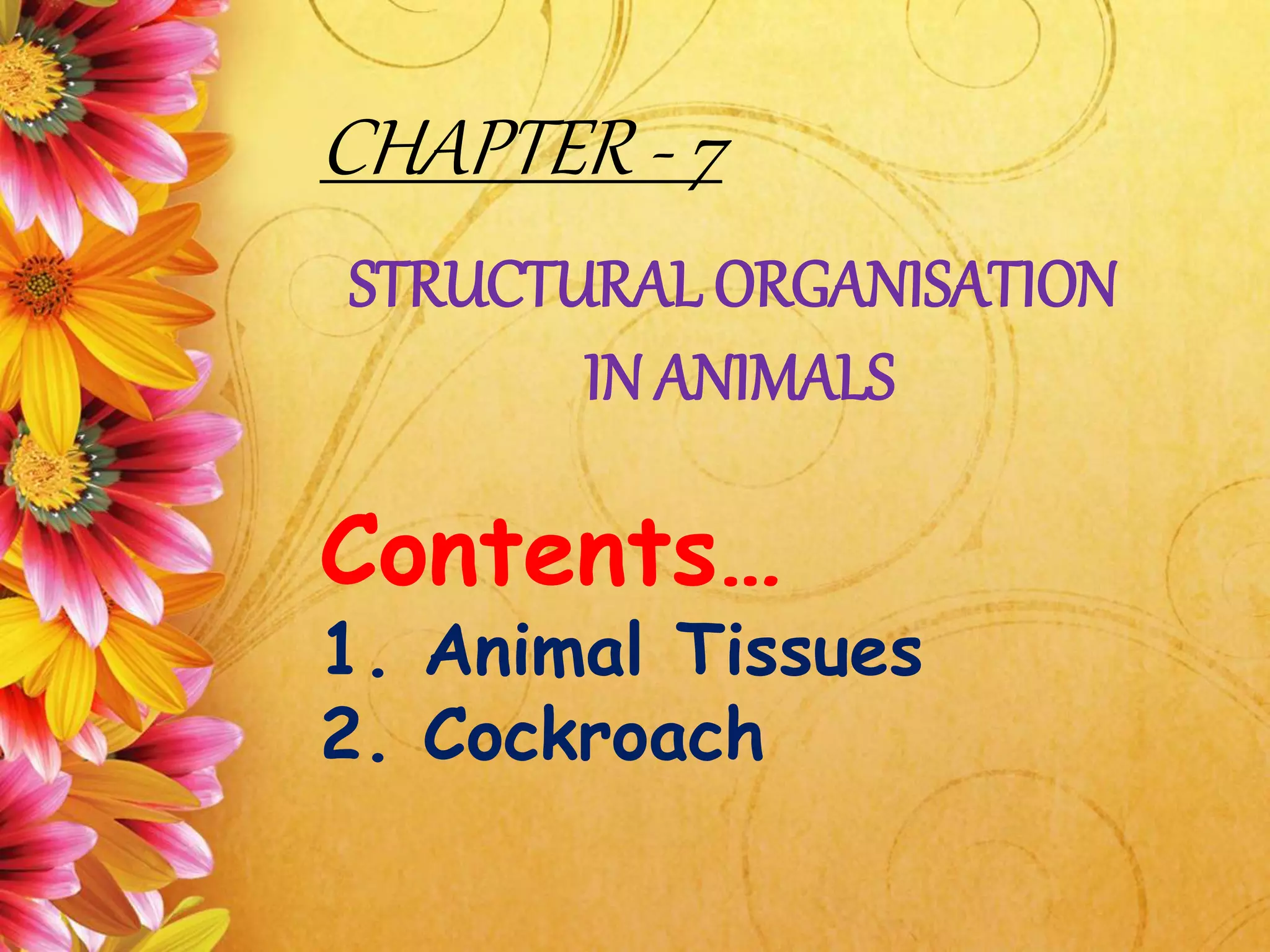 CHAPTER - 7
STRUCTURAL ORGANISATION
IN ANIMALS
Contents…
1. Animal Tissues
2. Cockroach
 