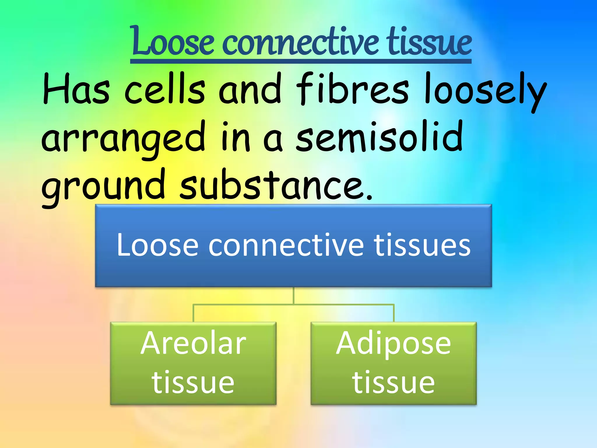 Loose connective tissue
Has cells and fibres loosely
arranged in a semisolid
ground substance.
Loose connective tissues
Areolar
tissue
Adipose
tissue
 