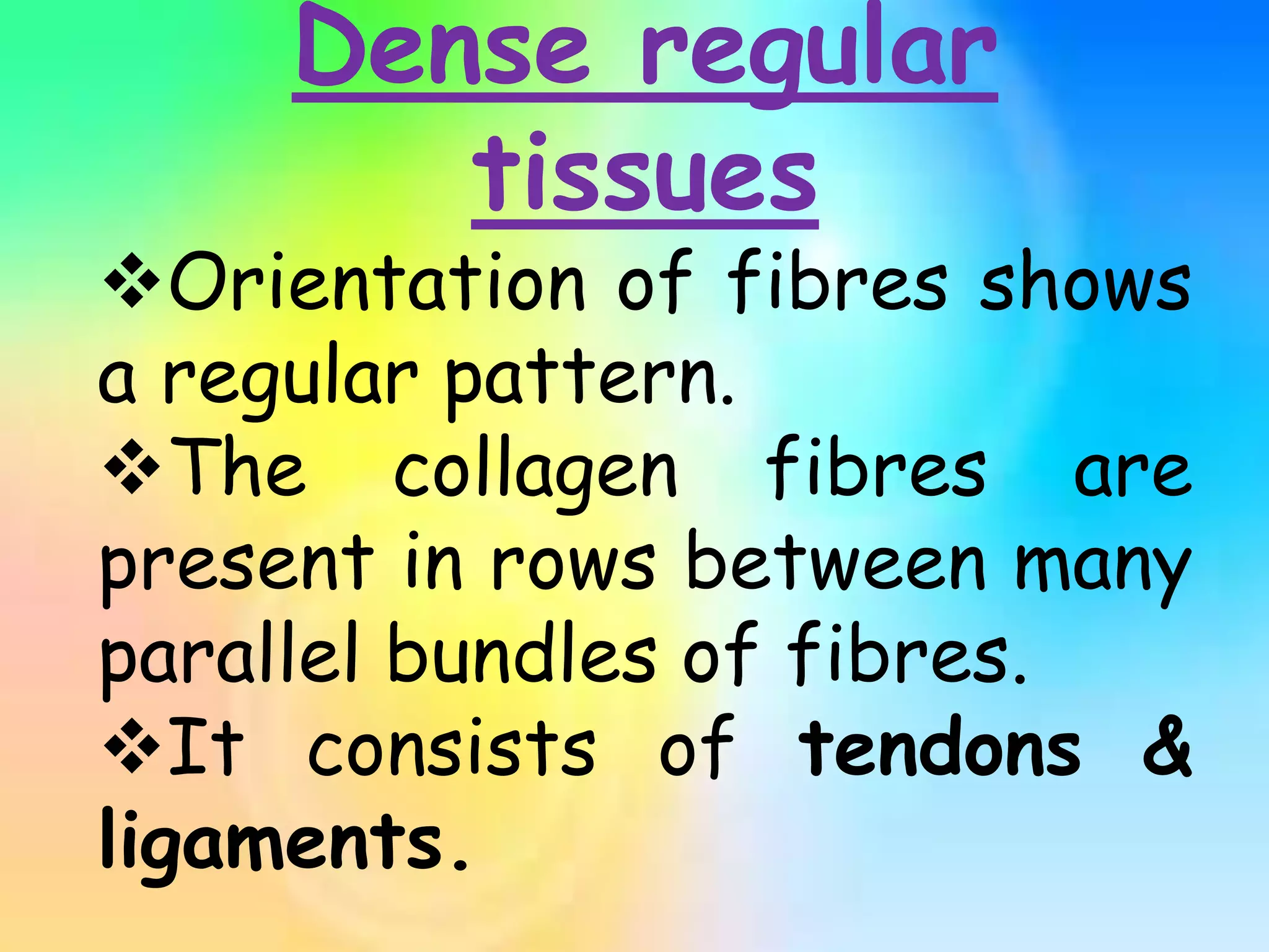 Dense regular
tissues
Orientation of fibres shows
a regular pattern.
The collagen fibres are
present in rows between many
parallel bundles of fibres.
It consists of tendons &
ligaments.
 