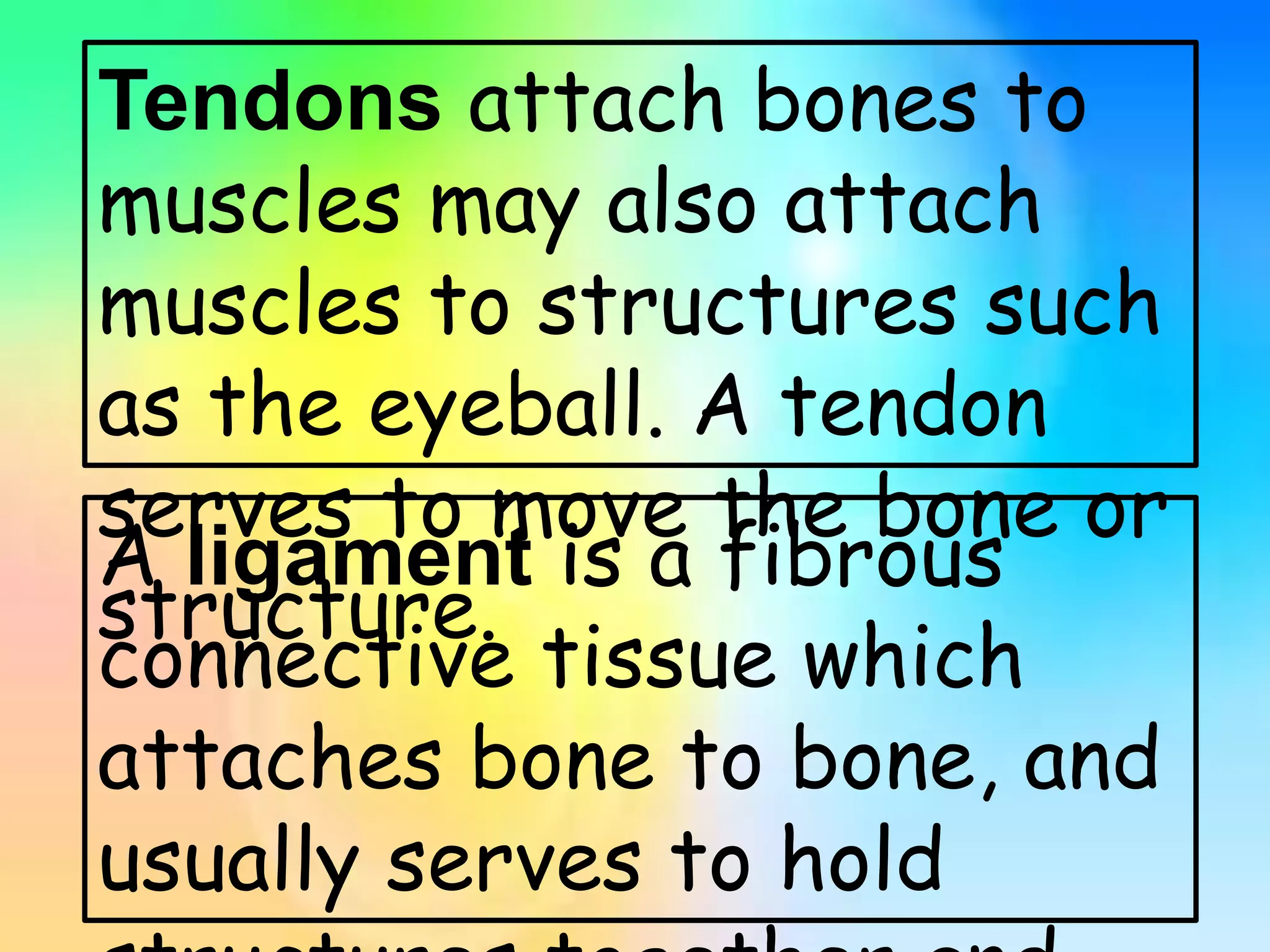 Tendons attach bones to
muscles may also attach
muscles to structures such
as the eyeball. A tendon
serves to move the bone or
structure.
A ligament is a fibrous
connective tissue which
attaches bone to bone, and
usually serves to hold
 