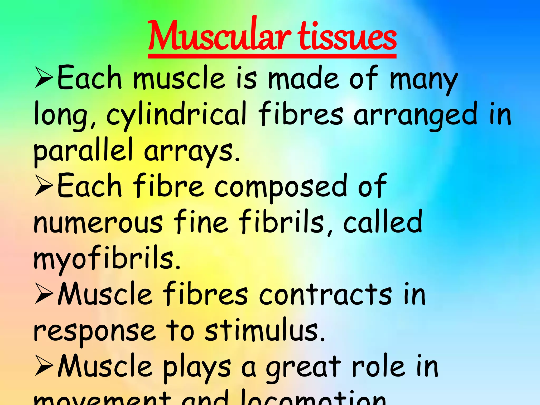 Muscular tissues
Each muscle is made of many
long, cylindrical fibres arranged in
parallel arrays.
Each fibre composed of
numerous fine fibrils, called
myofibrils.
Muscle fibres contracts in
response to stimulus.
Muscle plays a great role in
 