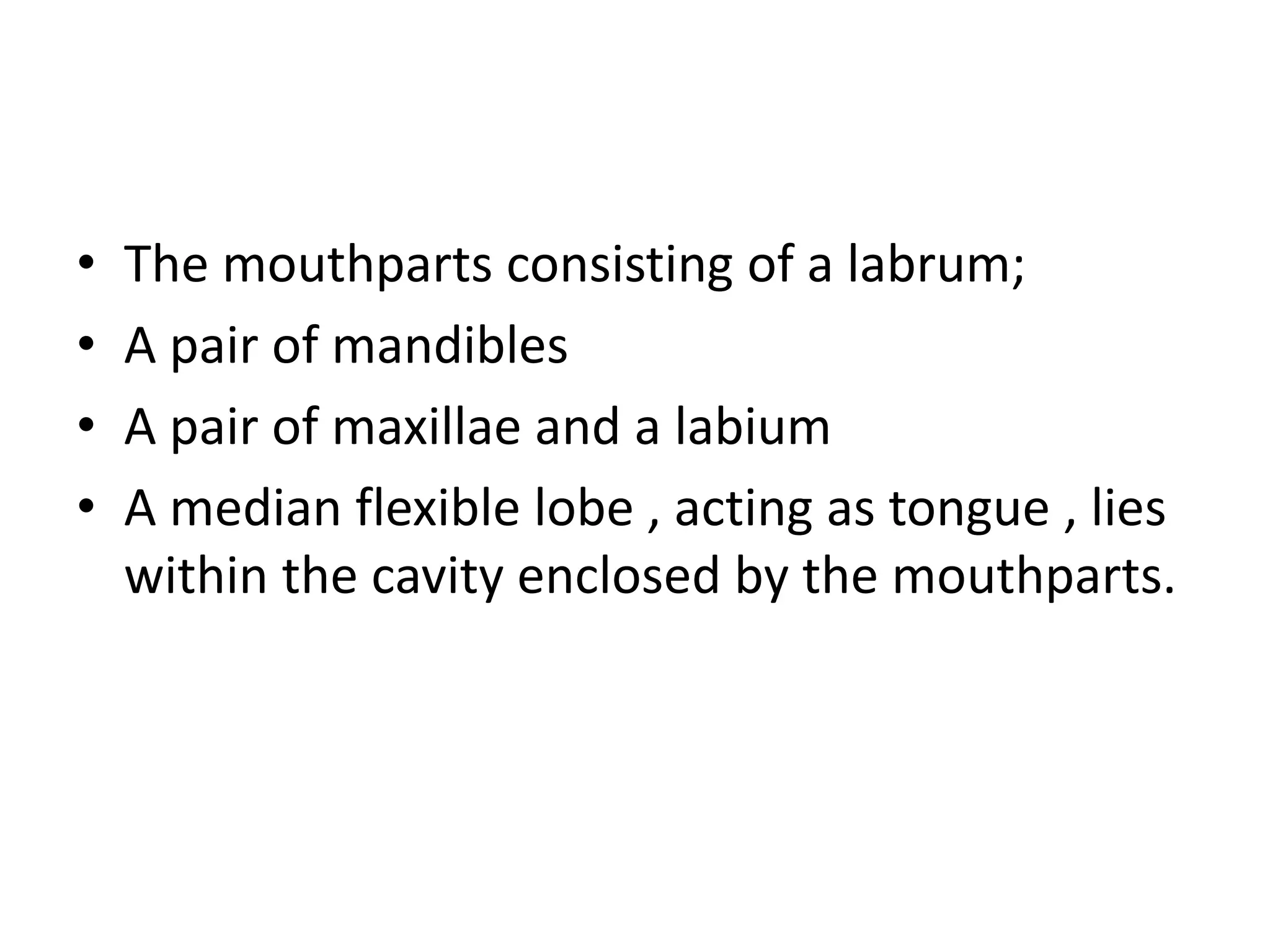 • The mouthparts consisting of a labrum;
• A pair of mandibles
• A pair of maxillae and a labium
• A median flexible lobe , acting as tongue , lies
within the cavity enclosed by the mouthparts.
 