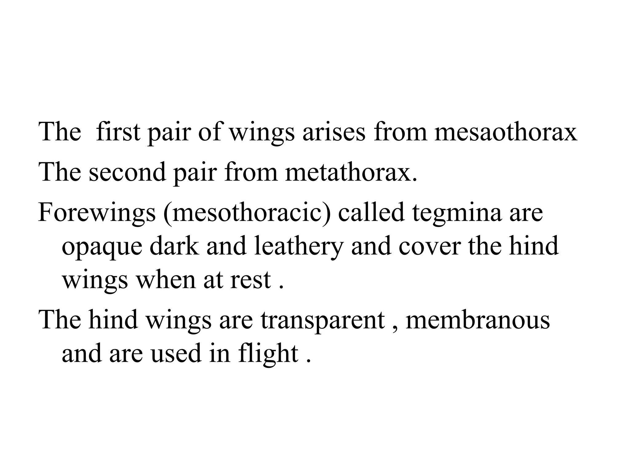 The first pair of wings arises from mesaothorax
The second pair from metathorax.
Forewings (mesothoracic) called tegmina are
opaque dark and leathery and cover the hind
wings when at rest .
The hind wings are transparent , membranous
and are used in flight .
 