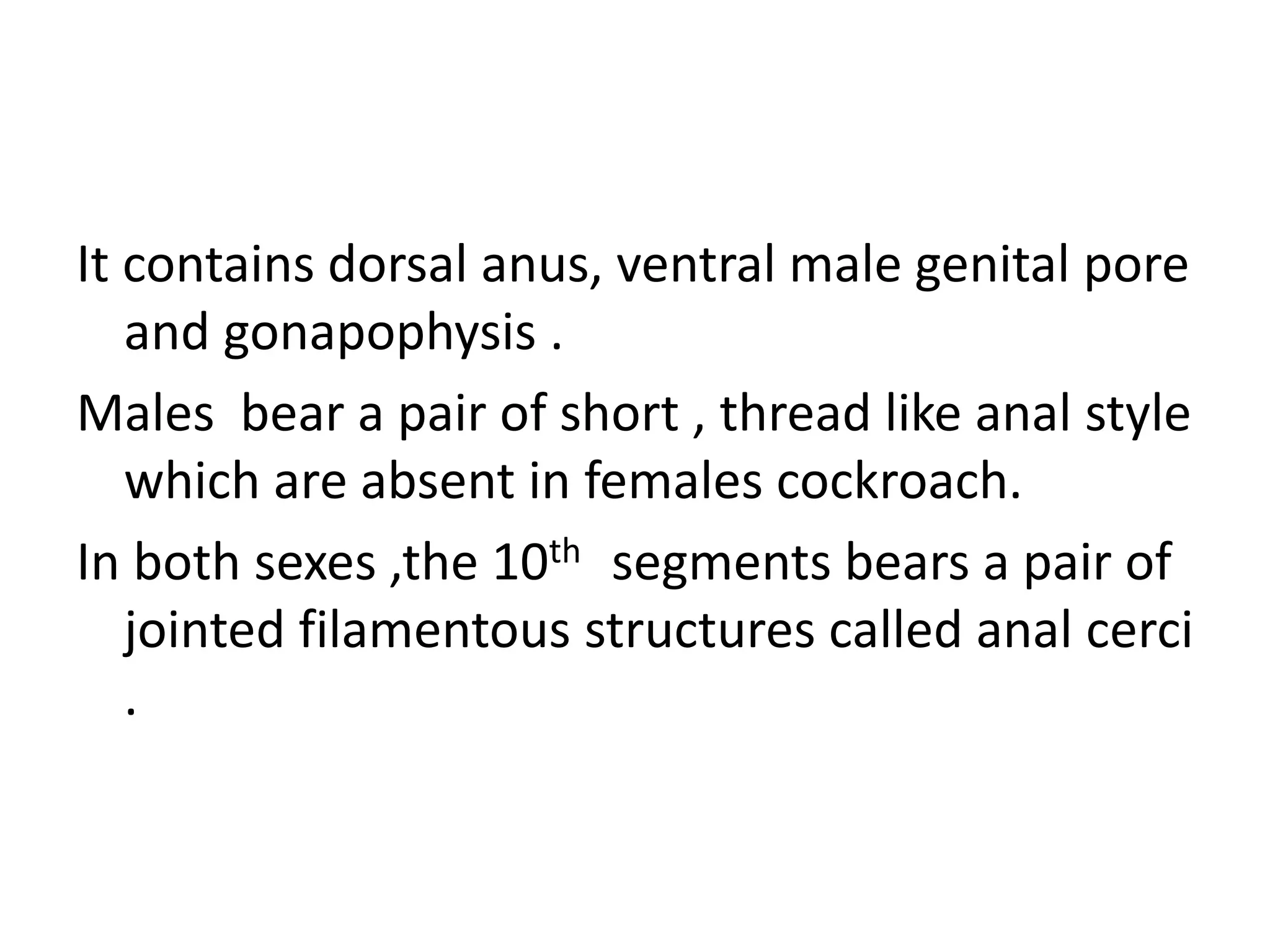 It contains dorsal anus, ventral male genital pore
and gonapophysis .
Males bear a pair of short , thread like anal style
which are absent in females cockroach.
In both sexes ,the 10th segments bears a pair of
jointed filamentous structures called anal cerci
.
 