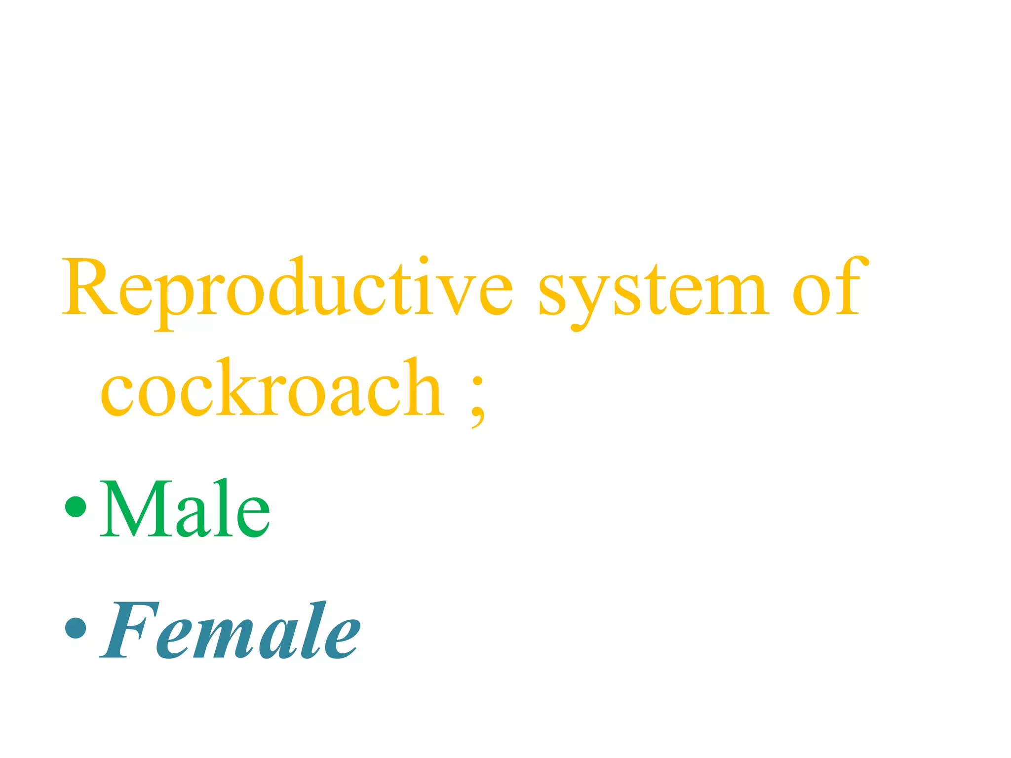 Reproductive system of
cockroach ;
•Male
•Female
 