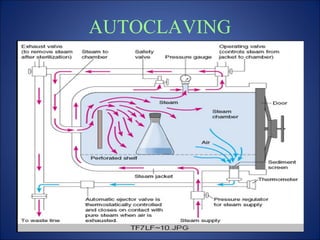 AUTOCLAVING
 
