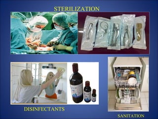 STERILIZATION
DISINFECTANTS
SANITATION
 