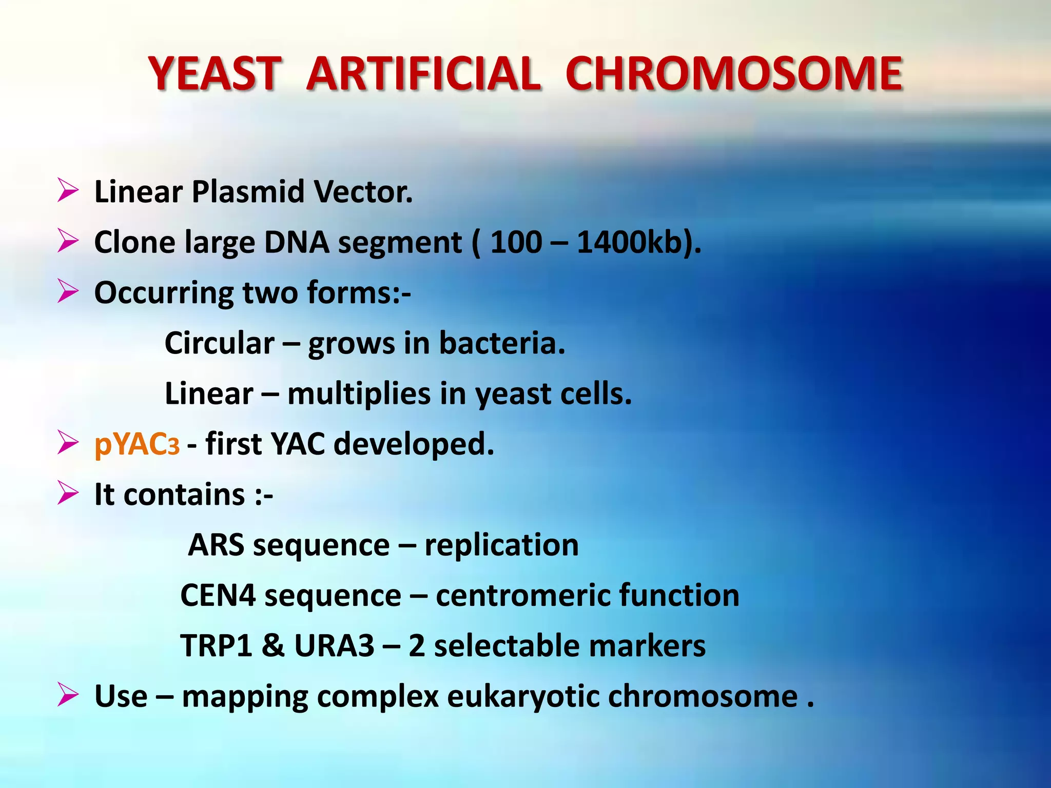 YEAST ARTIFICIAL CHROMOSOME
 Linear Plasmid Vector.
 Clone large DNA segment ( 100 – 1400kb).
 Occurring two forms:-
Circular – grows in bacteria.
Linear – multiplies in yeast cells.
 pYAC3 - first YAC developed.
 It contains :-
ARS sequence – replication
CEN4 sequence – centromeric function
TRP1 & URA3 – 2 selectable markers
 Use – mapping complex eukaryotic chromosome .
 