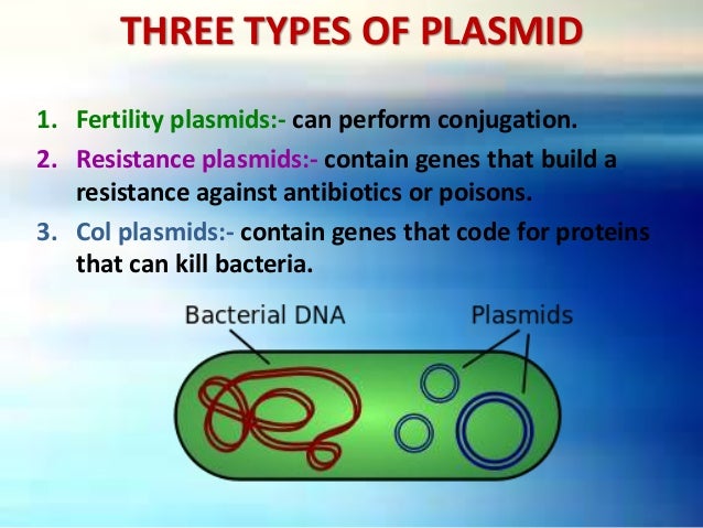Molecular Cloning - Vectors: Types & Characteristics