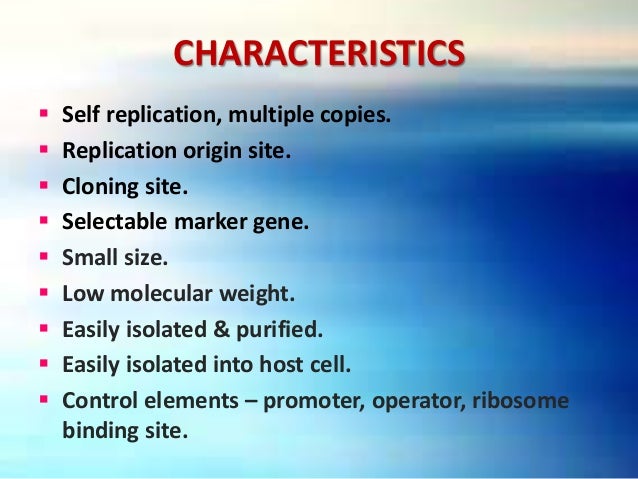 plasmid vector