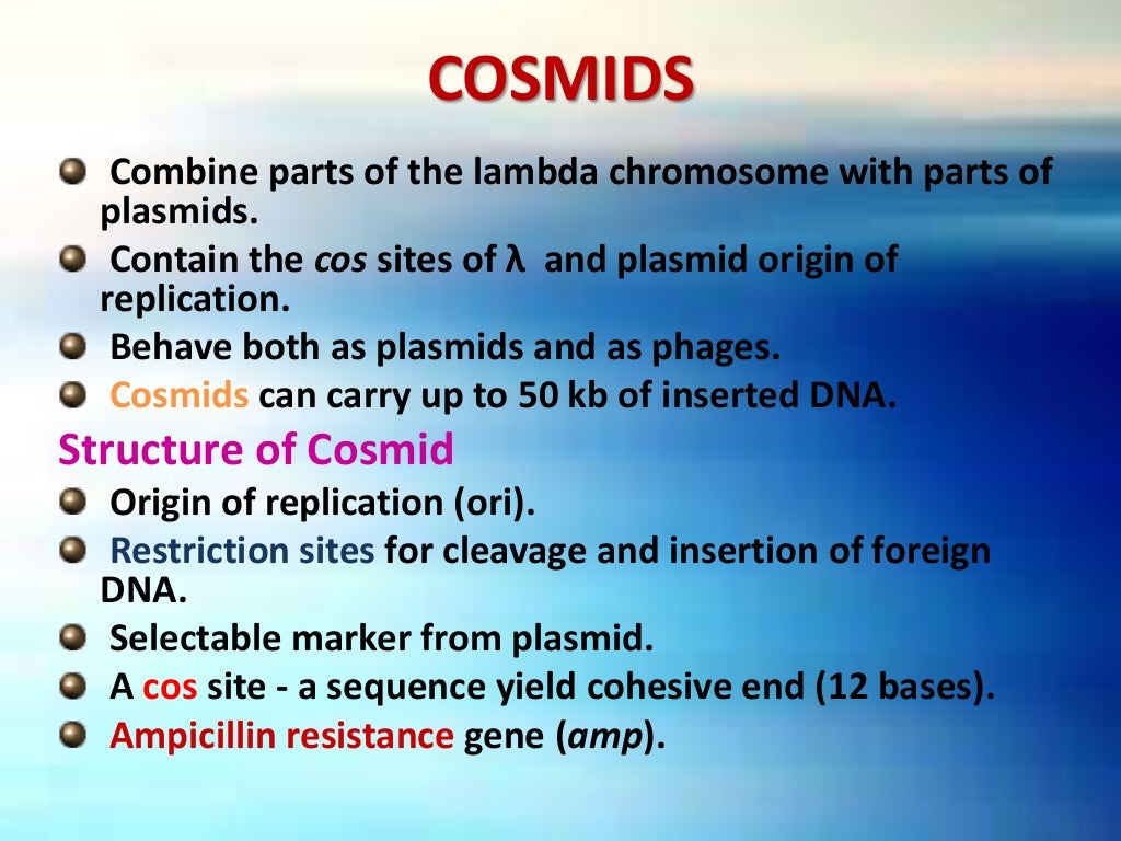 Molecular Cloning - Vectors: Types & Characteristics