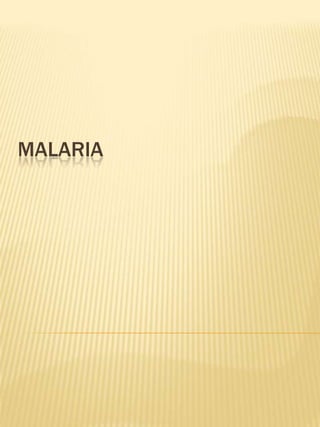 MALARIA

 