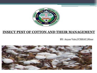 INSECT PEST OF COTTON AND THEIR MANAGEMENT
BY: Aryan Vats,CCSHAU,Hisar
 