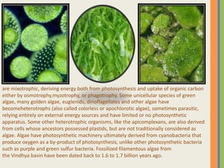 are mixotrophic, deriving energy both from photosynthesis and uptake of organic carbon
either by osmotrophy,myzotrophy, or phagotrophy. Some unicellular species of green
algae, many golden algae, euglenids, dinoflagellates and other algae have
becomeheterotrophs (also called colorless or apochlorotic algae), sometimes parasitic,
relying entirely on external energy sources and have limited or no photosynthetic
apparatus. Some other heterotrophic organisms, like the apicomplexans, are also derived
from cells whose ancestors possessed plastids, but are not traditionally considered as
algae. Algae have photosynthetic machinery ultimately derived from cyanobacteria that
produce oxygen as a by-product of photosynthesis, unlike other photosynthetic bacteria
such as purple and green sulfur bacteria. Fossilized filamentous algae from
the Vindhya basin have been dated back to 1.6 to 1.7 billion years ago.
 