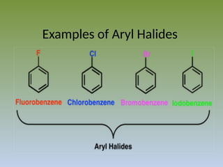 AAAAAAAAAAARYL HALIDES PRESENTATION.pptx