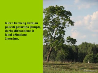 Klevo kamieną dažniau paliesti patartina įtemptą darbą dirbantiems ir labai užimtiems žmonėms.  