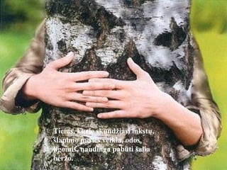 Tiems, kurie skundžiasi inkstų, šlapimo pūslės veikla, odos ligomis, naudinga pabūti šalia beržo.   