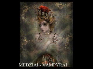 MEDŽIAI - VAMPYRAI 