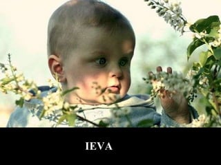 IEVA 