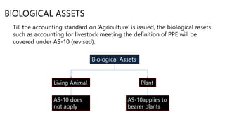 BIOLOGICAL ASSETS
Till the accounting standard on ‘Agriculture’ is issued, the biological assets
such as accounting for livestock meeting the definition of PPE will be
covered under AS-10 (revised).
Biological Assets
Living Animal Plant
AS-10 does
not apply
AS-10applies to
bearer plants
 