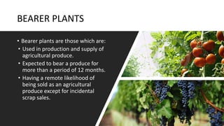 BEARER PLANTS
• Bearer plants are those which are:
• Used in production and supply of
agricultural produce.
• Expected to bear a produce for
more than a period of 12 months.
• Having a remote likelihood of
being sold as an agricultural
produce except for incidental
scrap sales.
 