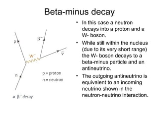 Beta-minus decay
• In this case a neutron
decays into a proton and a
W- boson.
• While still within the nucleus
(due to its very short range)
the W- boson decays to a
beta-minus particle and an
antineutrino.
• The outgoing antineutrino is
equivalent to an incoming
neutrino shown in the
neutron-neutrino interaction.
 
