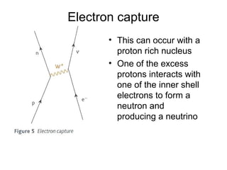 Electron capture
• This can occur with a
proton rich nucleus
• One of the excess
protons interacts with
one of the inner shell
electrons to form a
neutron and
producing a neutrino
 