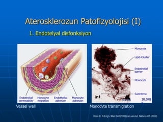 Aterosklerozun Patofizyolojisi (I)
         1. Endotelyal disfonksiyon

                                                                                             Monocyte


                                                                                             Lipid-Cluster



                                                                                             Endothelial
                                                                                             barrier


                                                                                             Monocyte




                                                                                             Subintima
 Endothelial    Monocyte    Endothelial   Monocyte
 permeability   migration    adhesion     adhesion                               0.5 µm            10.078
                                                                                                   x
Vessel wall                                          Monocyte transmigration

                                                      Ross R, N Engl J Med 340 (1999) & Lusis AJ, Nature 407 (2000)
 