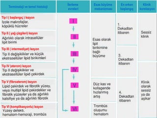 İlerleme    Esas büyüme   En erken      Klinik
     Terminoloji ve temel histoloji
                                       evreleri   mekanizması   başlangıç   korelasyon

Tip 1 (başlangıç lezyon
    I başlangıç ) lezyon
                                          I

Tip II ( yağ çizgileri) lezyon
                                          II

Tip III ( intermediyet) lezyon
                                          III

Tip IV (aterom) lezyon
                                          IV

Tip V (fibroaterom) lezyon
                                          V


Tip VI (komplikasyonlu) lezyon
                                          VI
 