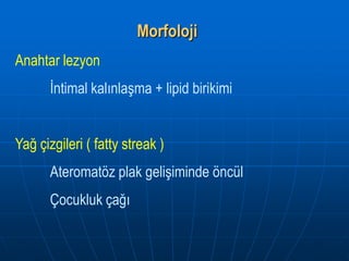 Morfoloji
Anahtar lezyon
       İntimal kalınlaşma + lipid birikimi


Yağ çizgileri ( fatty streak )
       Ateromatöz plak gelişiminde öncül
       Çocukluk çağı
 
