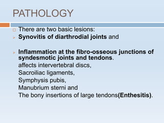 PATHOLOGY
 There are two basic lesions:
 Synovitis of diarthrodial joints and
 Inflammation at the fibro-osseous junctions of
syndesmotic joints and tendons.
affects intervertebral discs,
Sacroiliac ligaments,
Symphysis pubis,
Manubrium sterni and
The bony insertions of large tendons(Enthesitis).
 