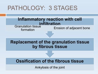 PATHOLOGY: 3 STAGES
Ossification of the fibrous tissue
Ankylosis of the joint
Replacement of the granulation tissue
by fibrous tissue
Inflammatory reaction with cell
infiltration
Granulation tissue
formation
Erosion of adjacent bone
 