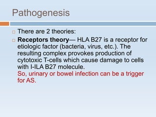 Pathogenesis
 There are 2 theories:
 Receptors theory— HLA B27 is a receptor for
etiologic factor (bacteria, virus, etc.). The
resulting complex provokes production of
cytotoxic T-cells which cause damage to cells
with I-ILA B27 molecule.
So, urinary or bowel infection can be a trigger
for AS.
 