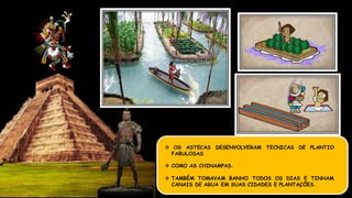  OS ASTECAS DESENVOLVERAM TECNICAS DE PLANTIO
FABULOSAS
 COMO AS CHINAMPAS.
 TAMBÉM TOMAVAM BANHO TODOS OS DIAS E TINHAM
CANAIS DE AGUA EM SUAS CIDADES E PLANTAÇÕES.
 