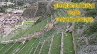 CIVILIZAÇÕES AMERICANAS -INCAS, MAIAS E ASTECAS