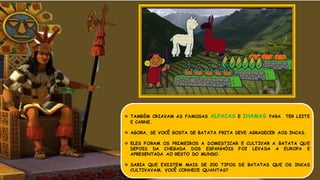  TAMBÉM CRIAVAM AS FAMOSAS ALPACAS E IHAMAS PARA TER LEITE
E CARNE.
 AGORA, SE VOCÊ GOSTA DE BATATA FRITA DEVE AGRADECER AOS INCAS.
 ELES FORAM OS PRIMEIROS A DOMESTICAR E CULTIVAR A BATATA QUE
DEPOIS DA CHEGADA DOS ESPANHÓIS FOI LEVADA A EUROPA E
APRESENTADA AO RESTO DO MUNDO.
 SABIA QUE EXISTEM MAIS DE 200 TIPOS DE BATATAS QUE OS INCAS
CULTIVAVAM. VOCÊ CONHECE QUANTAS?
 