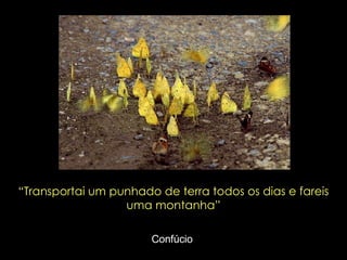 “ Transportai um punhado de terra todos os dias e fareis uma montanha” Confúcio  