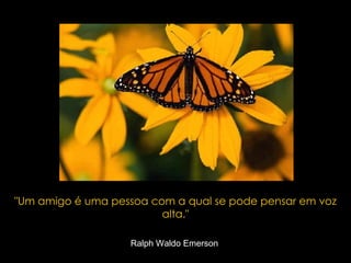 &quot;Um amigo é uma pessoa com a qual se pode pensar em voz alta.&quot; Ralph Waldo Emerson   