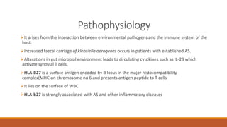 Pathophysiology
It arises from the interaction between environmental pathogens and the immune system of the
host.
Increased faecal carriage of klebsiella aerogenes occurs in patients with established AS.
Alterations in gut microbial environment leads to circulating cytokines such as IL-23 which
activate synovial T cells.
HLA-B27 is a surface antigen encoded by B locus in the major histocompatibility
complex(MHC)on chromosome no 6 and presents antigen peptide to T cells
It lies on the surface of WBC
HLA-b27 is strongly associated with AS and other inflammatory diseases
 