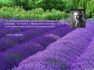 “ Se um dia você tiver que escolher entre o mundo e o amor, lembre-se:  Se escolher o mundo ficará sem amor, mas se você escolher o amor, com ele conquistará o mundo”. ALBERT  EINSTEIN 
