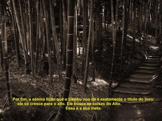 Por fim, a sétima lição que o bambu nos dá é exatamente o título do livro: ele só cresce para o alto. Ele busca as coisas do Alto.  Essa é a sua meta. 