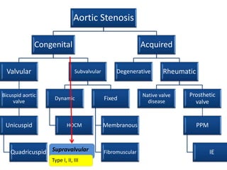 Aortic Stenosis
Congenital
Valvular
Bicuspid aortic
valve
Unicuspid
Quadricuspid
Subvalvular
Dynamic
HOCM
Fixed
Membranous
Fibromuscular
Acquired
Degenerative Rheumatic
Native valve
disease
Prosthetic
valve
PPM
IESupravalvular
Type I, II, III
 