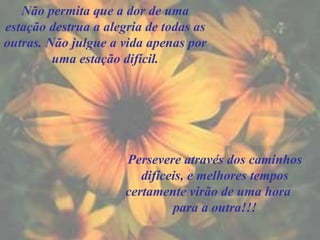Não permita que a dor de uma estação destrua a alegria de todas as outras. Não julgue a vida apenas por uma estação difícil. Persevere através dos caminhos difíceis, e melhores tempos certamente virão de uma hora  para a outra!!! 