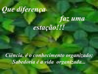 Que diferença  faz uma estação!!! Ciência, é o conhecimento organizado; Sabedoria é a vida  organizada... 