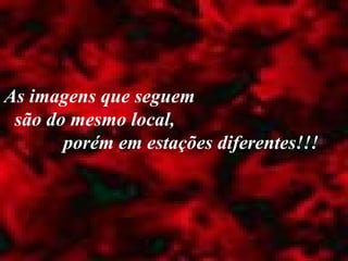 As imagens que seguem  são do mesmo local,  porém em estações diferentes!!! 