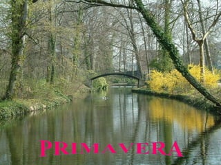 PRIMAVERA 