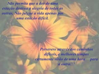 Não permita que a dor de uma estação destrua a alegria de todas as outras. Não julgue a vida apenas por uma estação difícil. Persevere através dos caminhos difíceis, e melhores tempos certamente virão de uma hora  para a outra!!! 