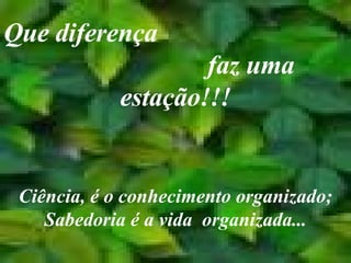 Que diferença  faz uma estação!!! Ciência, é o conhecimento organizado; Sabedoria é a vida  organizada... 