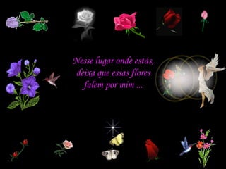 Nesse lugar onde estás, deixa que essas flores falem por mim ... 