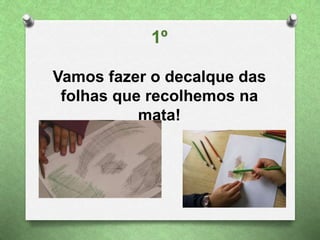 1º
Vamos fazer o decalque das
folhas que recolhemos na
mata!
 